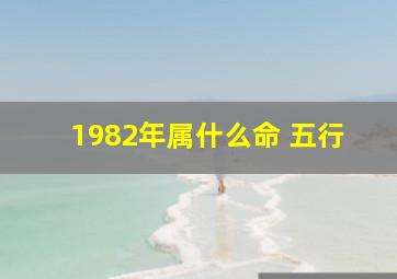 1982年属什么命 五行